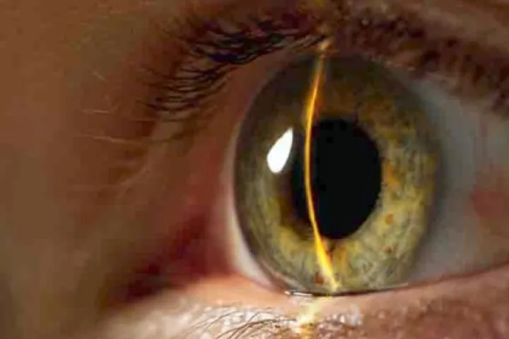 حالا ChatGPT کره چشم شما را می‌خواهد!